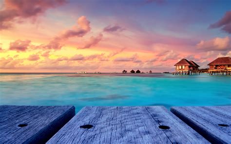 560721 Maldives Resort Sea Beach Tropical Palm Trees Summer Vacations
