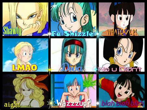 This is one of many awesome factors that come into play when discussing how great dragon ball. Image - Dbz girlz.jpg | Dragon Ball Wiki | Fandom powered by Wikia