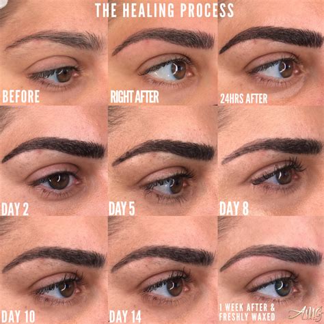 Microblading Eyebrows After Healing My Xxx Hot Girl