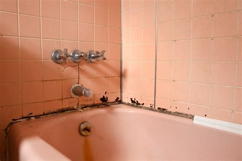This is a brilliant little lifehack that will kill ugly black mold.we've been asked how to remove black mould from the silicone around shower trays many. Black Spots on Shower Caulking? | ThriftyFun
