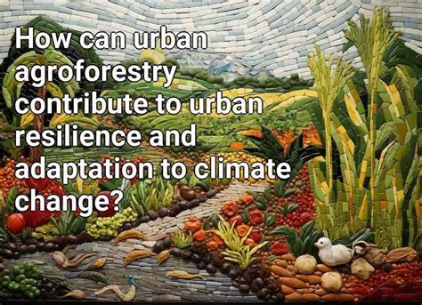 How Can Urban Agroforestry Contribute To Urban Resilience And