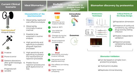 Proteomes Free Full Text Proteomics For Biomarker Discovery For
