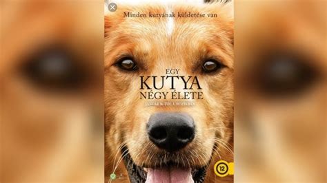 Da wird dann vorher ein aushang gemacht und alle wissen bescheid. A Kutya Négy Útja Online Film / Bruce cameron bestsellere ...