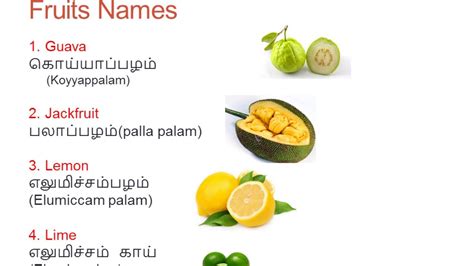 Kiwi fruit பசலிப்பழம் कीवी फल. Learn Tamil Through English | Fruits Names - YouTube