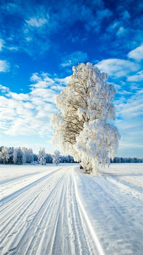 Pin By Farah Hana On Wallpeper Winter Scenery Winter Landscape