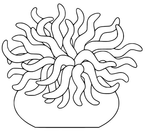 Sea Anemone Coloring Pages Free Printable Coloring Pages For Kids