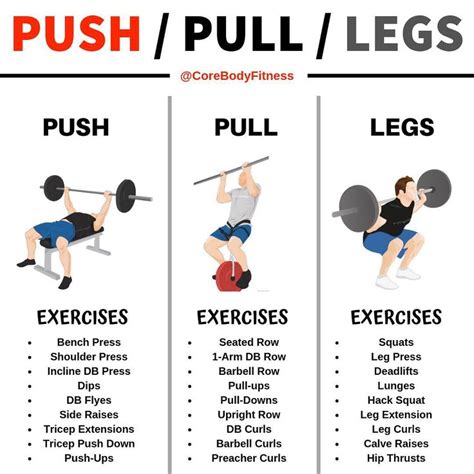Push Pull Legs Weight Training Workout Schedule For Days Gymguider Com Training Lichaam