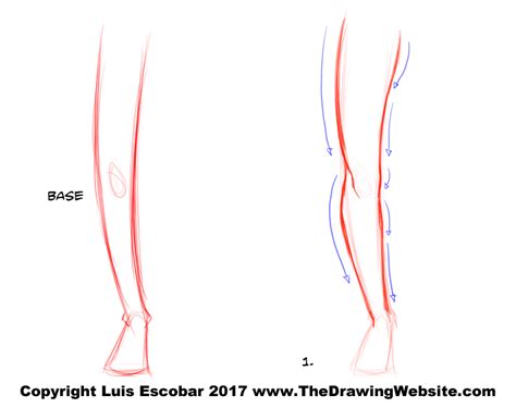 Check point notes for leg drawing 3.process drawing video 4.painting video and painting tip notes. The Drawing Website