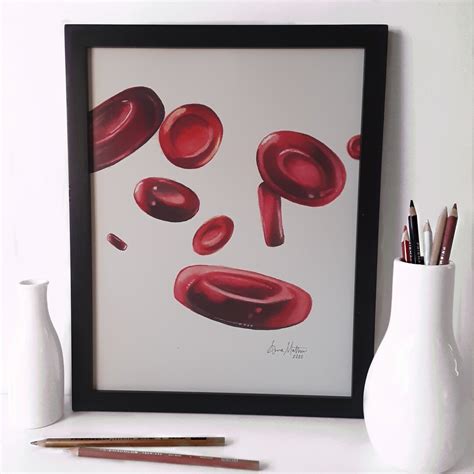 Red Blood Cells 5 X 7 8 X 10 Or 11 X 14 Etsy Italia