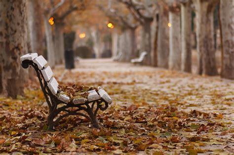 Fall Park Bench Leaves Wallpapers Hd Desktop And Mobile Backgrounds
