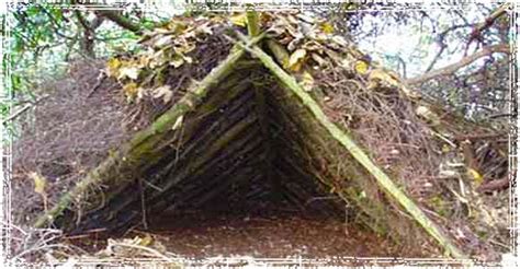 6 Widerness Survival Shelters 101 Ways To Survive