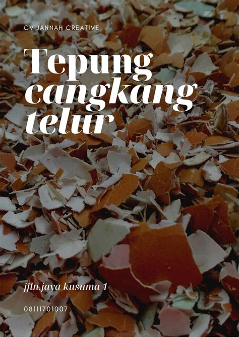 Check spelling or type a new query. WA +62 813 8008 5544, Produsen Jual Cangkang Telur Ayam ...