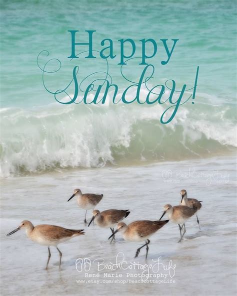 112815 Sunday Beach Quotes Sunday Quotes Funny Good Morning Friday