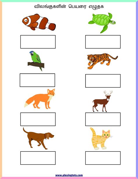 printable worksheets animals  letter worksheets