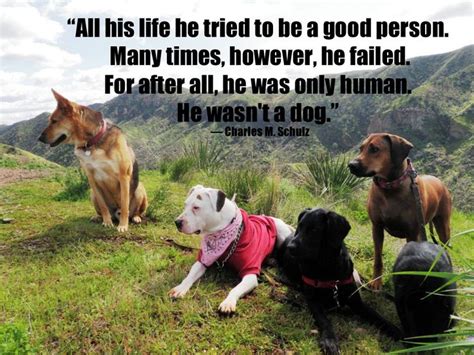 Spay And Neuter Early A Humane Alliance Campaign Dog Quotes Animal