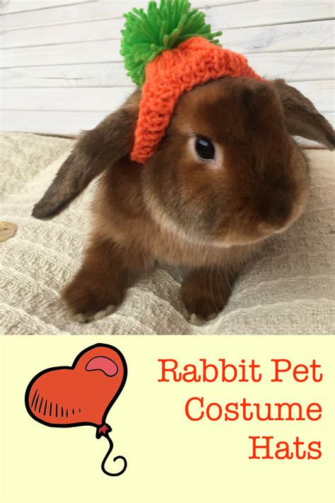 Bestseller Carrot Hat For Rabbit Pet Bunny Clothes Etsy Pet Rabbit