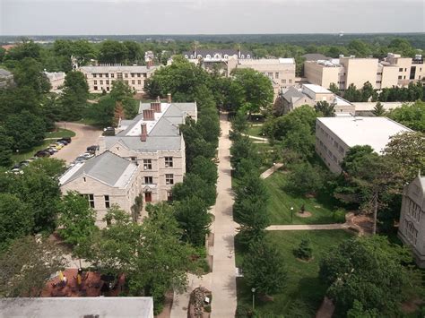 Pin on MIZZOU-RAH