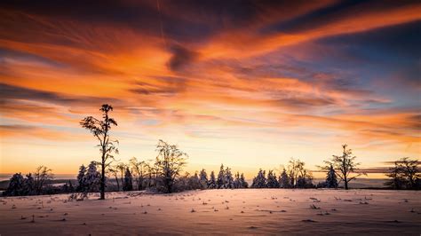Sunset Winter At Empty Forest Wallpaper Hd Nature 4k Wallpapers