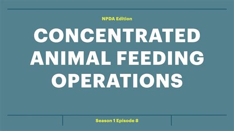 Agriculture Subsidies And Concentrated Animal Feeding Operations Cafos