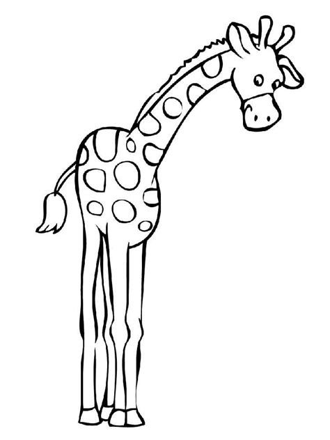 Giraffe Coloring Pages Download And Print Giraffe
