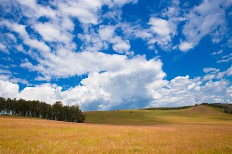 Blue Sky With White Clouds Trees Fields And Meadows With Green Grass