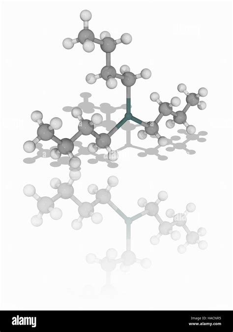 Tributyltin Hydride Molecule Hi Res Stock Photography And Images Alamy