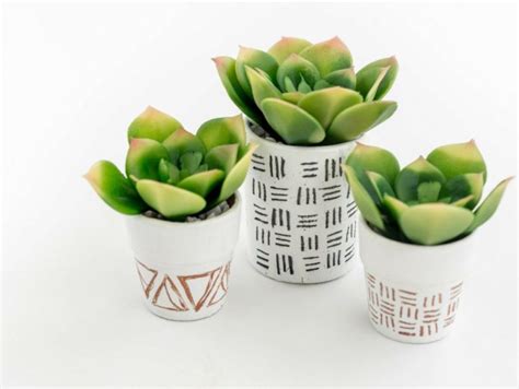 Diy Fun With Succulent Pots 13 Adorable Ideas