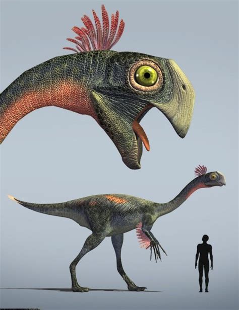 Gigantoraptor Daz 3d