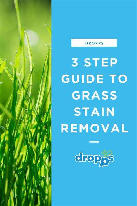 How To Remove Grass Stains Your Easy Guide Grass Stain Remover How To Remove Grass Grass
