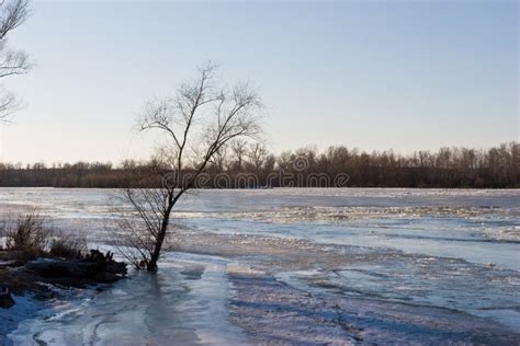Frozen River Stock Photo Image Of View Snow Outdoor 11770222