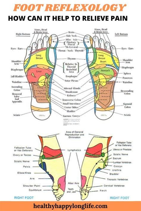 Foot Reflexology Benefits Health For The Whole Body Artofit