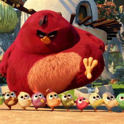 Angry Birds Angry Birds Movie Terence Hatchlings Bird Gif Angry Birds Angry Birds Movie