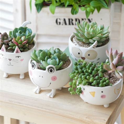 Cute Ceramic Animal Planter Apollobox