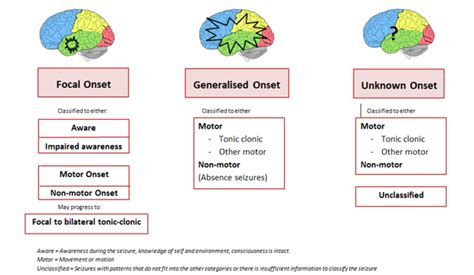 Fever seizures (febrile convulsions) are the most common cause of a single seizure. :: Seizure Types and Classification - Epilepsy Action ...