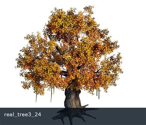 Real Trees Sprite Set3 Game Tree Sprites In 2020 Sprite Tree Game