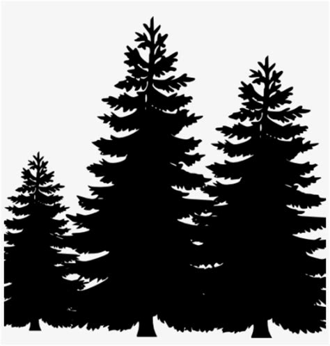 Pine Tree Clip Art Silhouette Cliparts Accent Wall Pine Trees