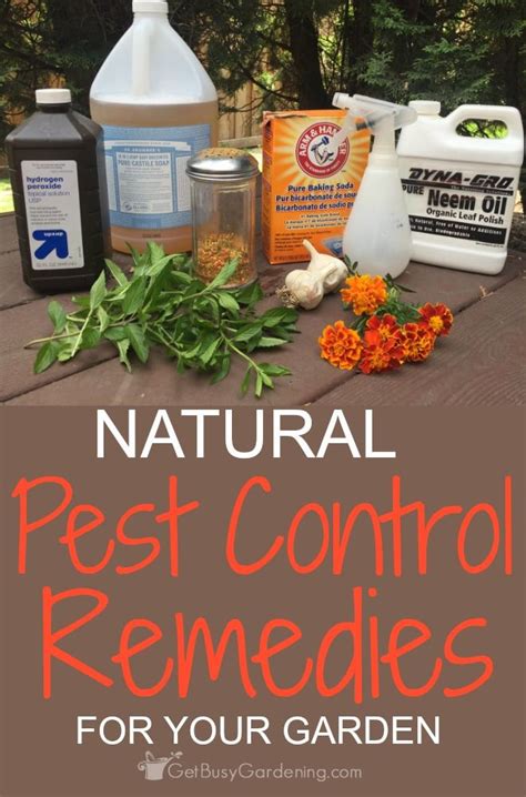 They also use traditional farming methods such as rotating crops to different fields every year to maintain the nutrients in the soil. Natural Garden Pest Control Remedies And Recipes | Slugs ...
