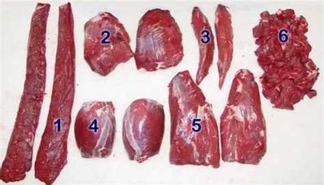 Is your ranch or lease overrun by feral hogs? 13 Easy Steps on How to Butcher a Deer and Get the Perfect ...