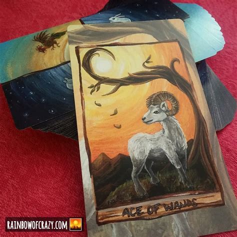 The earliest french suited tarot cards were created in germany during the 18th century probably by göbl of munich and the theme of animals replaced. Animism Tarot Deck, 79 Card Animal Tarot, Happy Squirrel Tarot Card, Animal Totem Symbolism ...