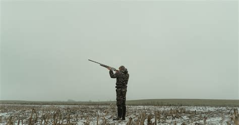 Coyote Hunting In Ohio An Ultimate Guide For 2023 Huntingbible