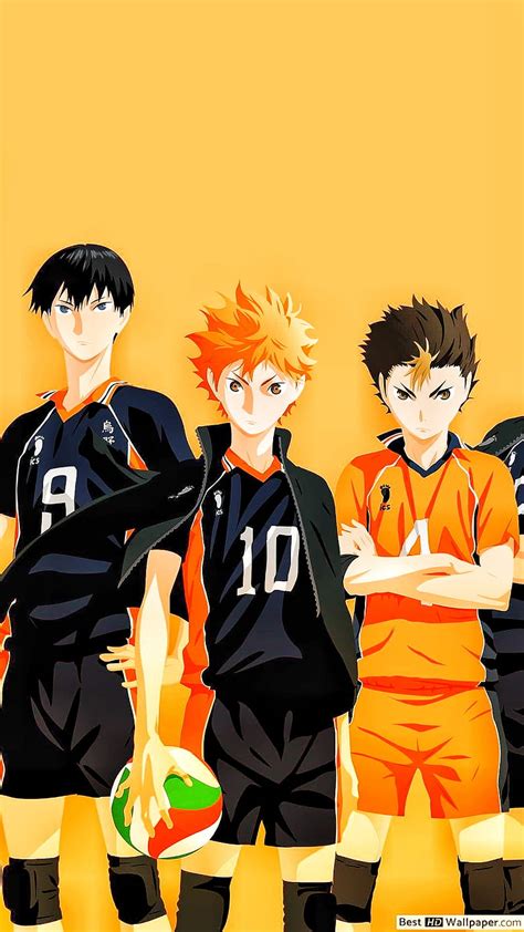 Top More Than 72 Anime About Volleyball Super Hot Vn