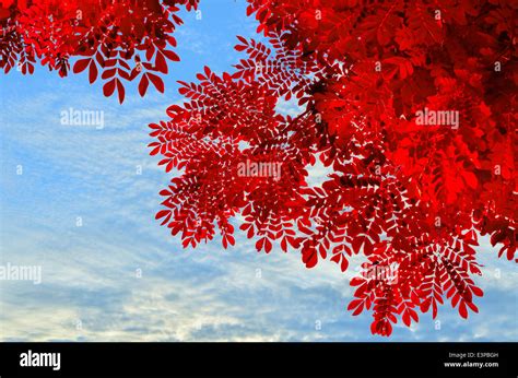 Red Structure Sky Hi Res Stock Photography And Images Alamy