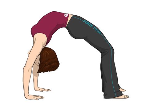 Upward Bow Yoga Pose Or Wheel Pose Forte Yoga