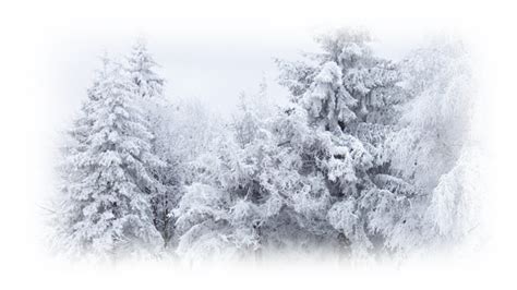 Winter Snow Desktop Wallpaper Cold - winter png download - 980*551 - Free Transparent Winter png ...