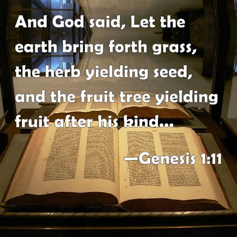 Genesis 111 And God Said Let The Earth Bring Forth Grass The Herb Yielding Seed And The