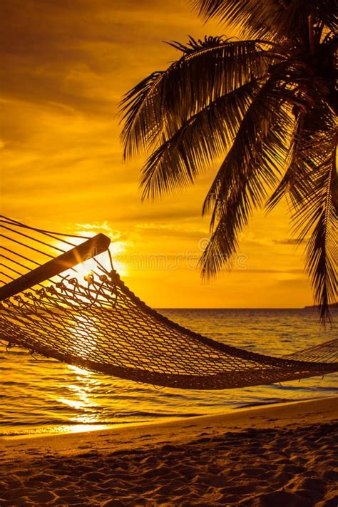 A Hammock Hanging From A Palm Tree On The Beach At Sunset