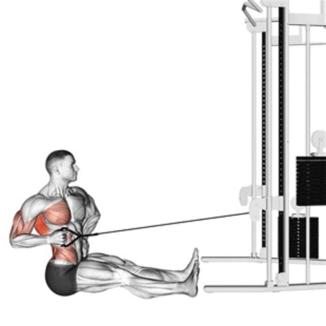 Right Single Arm Twisting Seated Cable Row By Jdan B Exercise How To