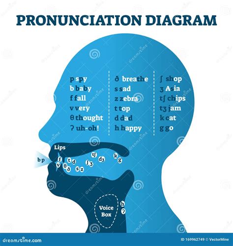 Pronunciation Diagram Chart With Letters And Corresponding Sounds Coloso