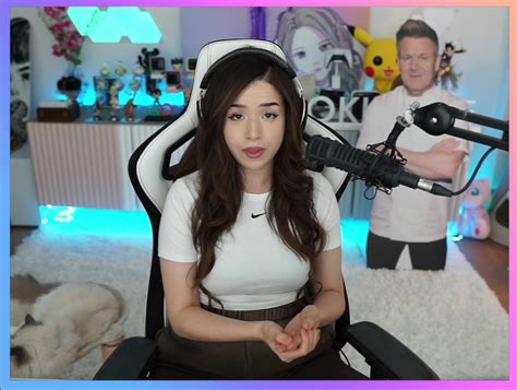 Pokimane And Ninja Controversy Reveals One Thing