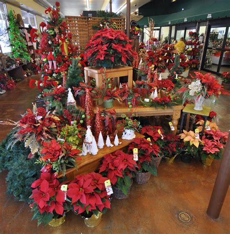 316 central ave sw, albuquerque, nm 87102 map & directions. Peoples Flower Shops Main Location, Albuquerque New Mexico ...